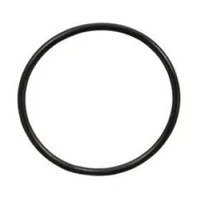 3M™ O-Ring 55079