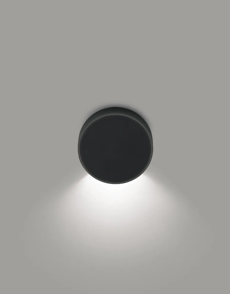 Alpha flush wall light