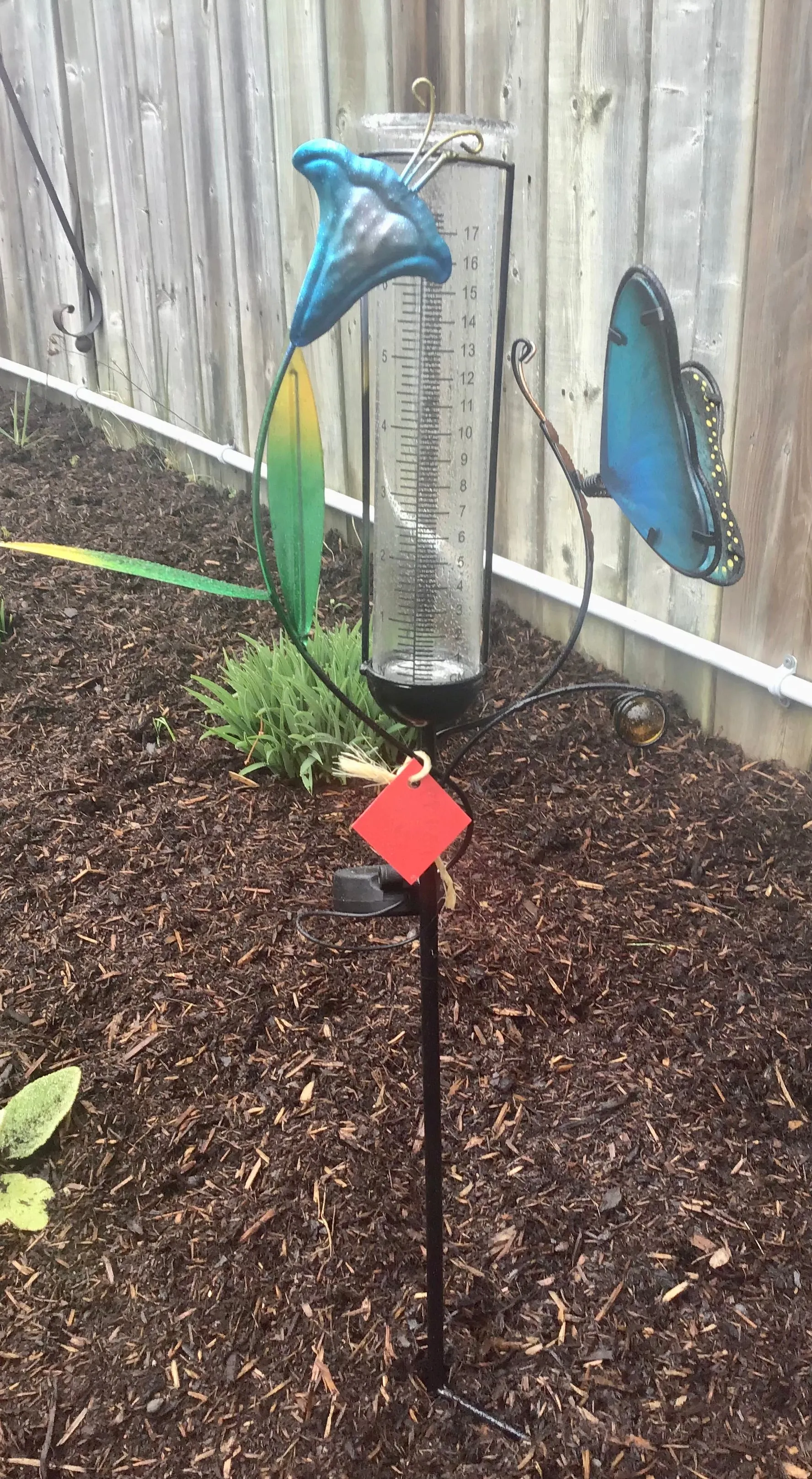 Decor - Rain Gauge & Solar Light