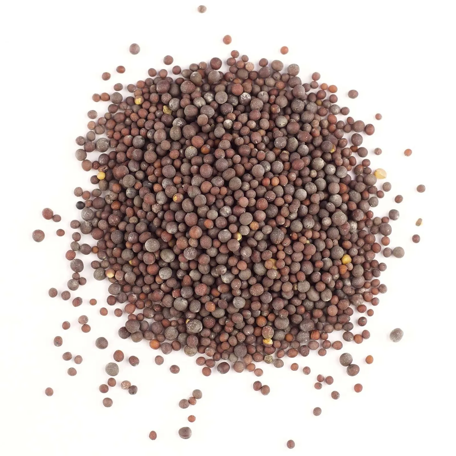 Mustard Seed Black (Whole)