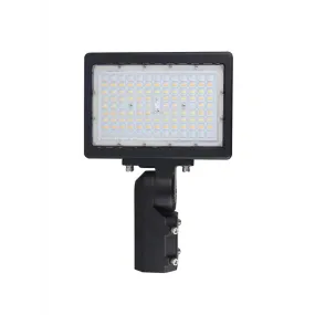 Nuvo 65-619 150W LED Flood Light, 4000K