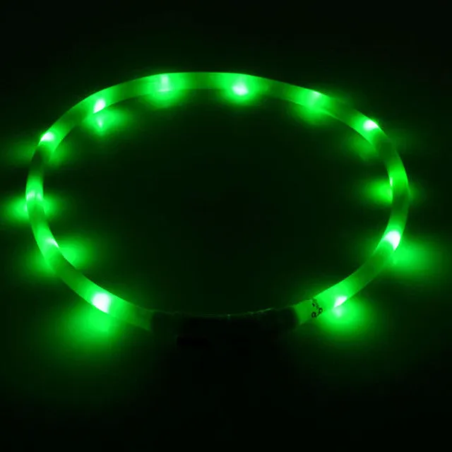 Outdoor Dog Collars USB luminous pet collar led light USB charging Cat dog collar Teddy Night Flashing Light Collar Pet supplies