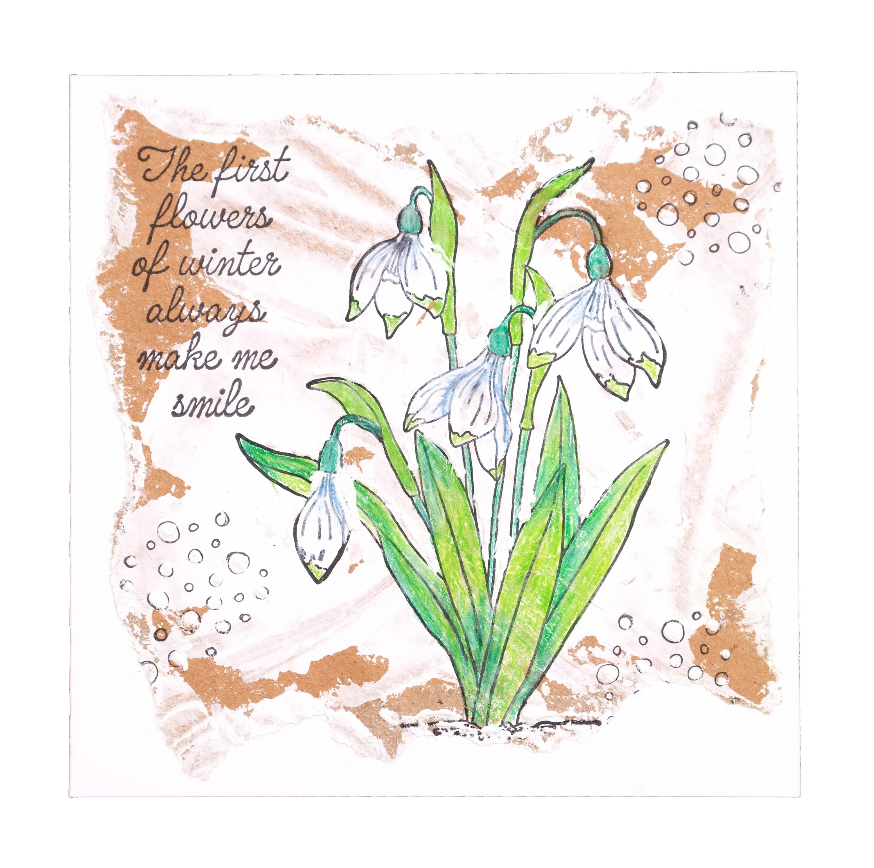 SL Clear Stamp Snowdrops Winter Garden 105x148x3mm 1 PC nr. 158